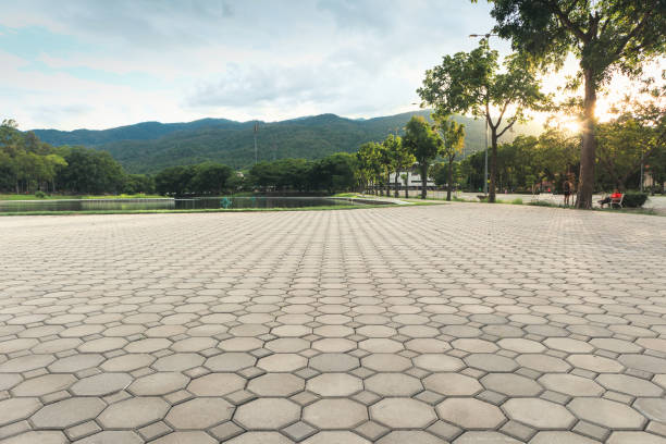 Best Residential Driveway Paver Services  in Colusa, CA
