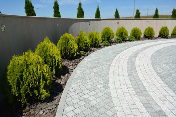 Best Local Driveway Pavers  in Colusa, CA