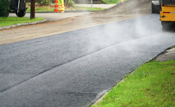 Best Residential Paver Driveway  in Colusa, CA